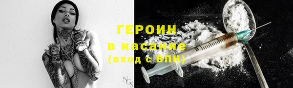 прущие грибы Вязьма